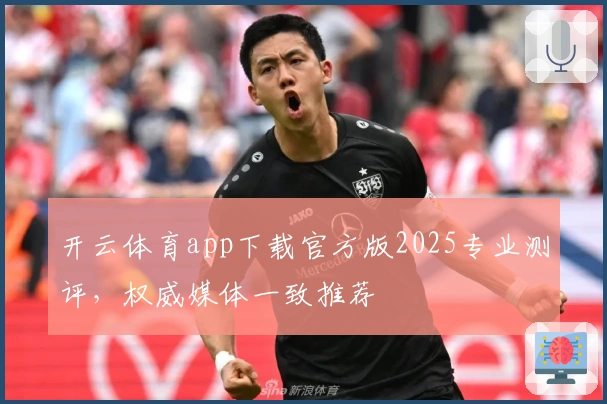 开云体育app下载官方版2025专业测评，权威媒体一致推荐