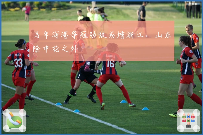 马年海港争冠劲敌或增浙江、山东除申花之外